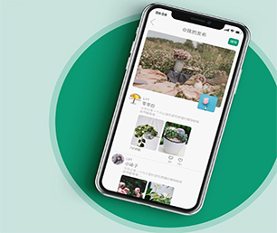 岳阳苹果APP定制开发企业数字化电商系统让我们一起打造数字化时代的领导者【巨惠来袭，赶紧抢购】